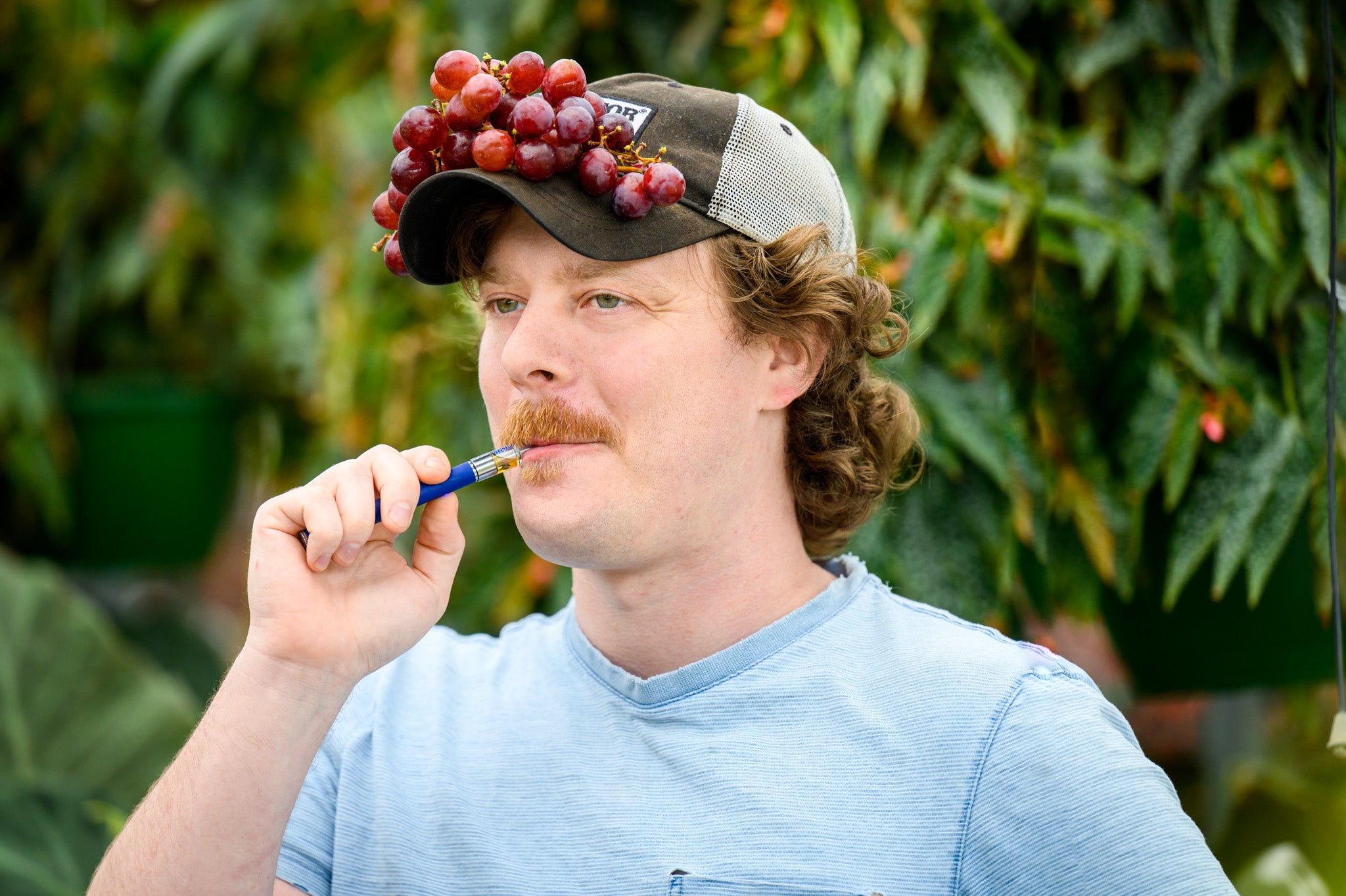 Diffusing Stress with Combustibles and Vapes Appalachian Standard