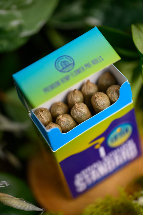 Ten Rock Candy hemp flower pre-rolls in blue and orange carton by Appalachian Standard.