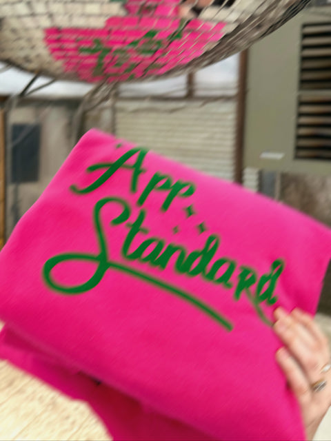 Appalachian Standard pink and green sweatshirt being held beside a disco ball in the white greenhouse in Asheville, NC.