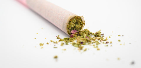 Appalachian Standard's Rollin' in the Sheets 1:1 CBD Hemp pre-roll with rose petals in a pink paper on a white backdrop.