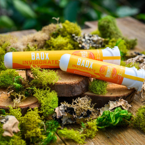 Baox pre-rolls grown by Appalachian Standard lying on wood and moss. 