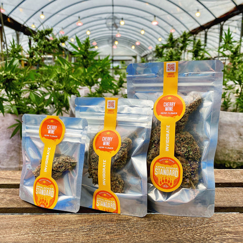 Three sizes of Cherry Wine Hemp Flower by Appalachian Standard in the greenhouse.