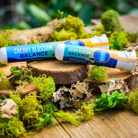 Cherry Blossom flower pre-roll in pacaging on wood and moss display. Hand crafted by Appalachian Standard