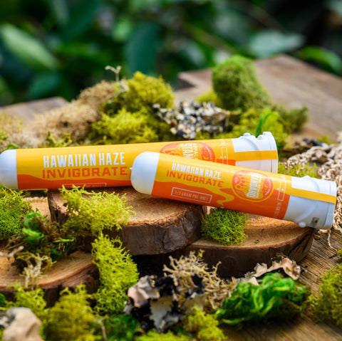Hawaiian Haze Pre-Rolls in sustainable recycled ocean plastic tubes on wood and moss from Appalachian Standard