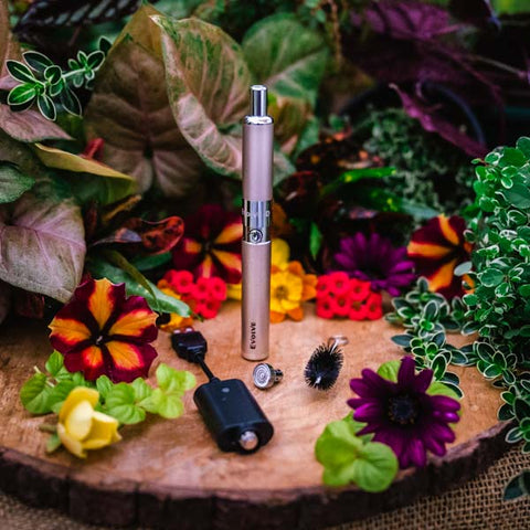 YoCan Evolve-D Dry Herb Pen