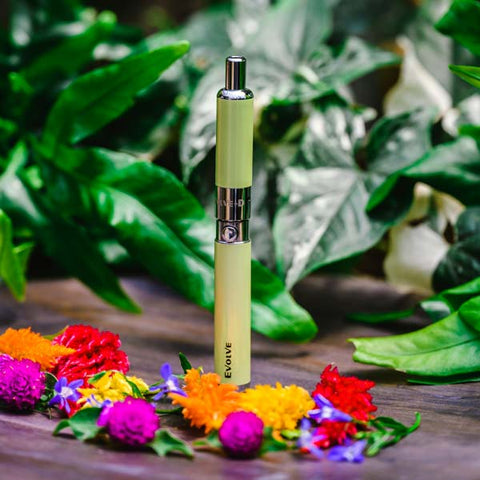YoCan Evolve Dry Herb Pen
