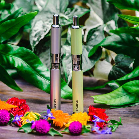 YoCan Evolve-D Dry Herb Pen