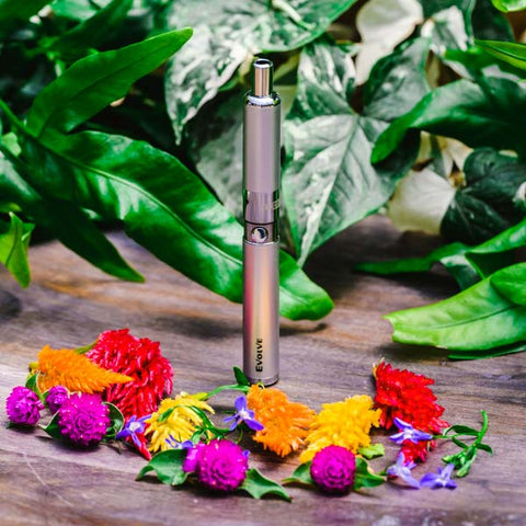 YoCan Evolve-D Dry Herb Pen