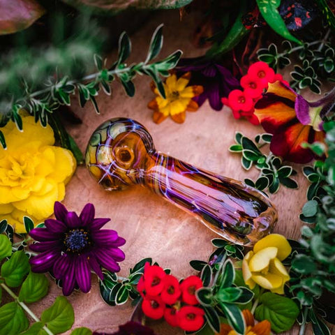 Golden Sea Turtle Shell Pipe with segmented colors of purple, yellow, green and blue