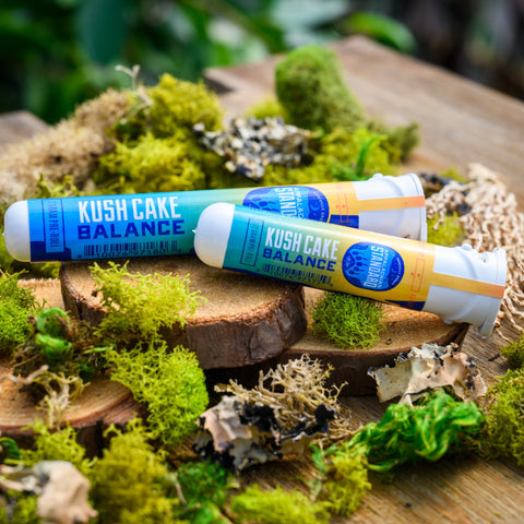 Kush Cake Pre-Rolls in sustainable sana tubes on wood and moss from Appalachian Standard