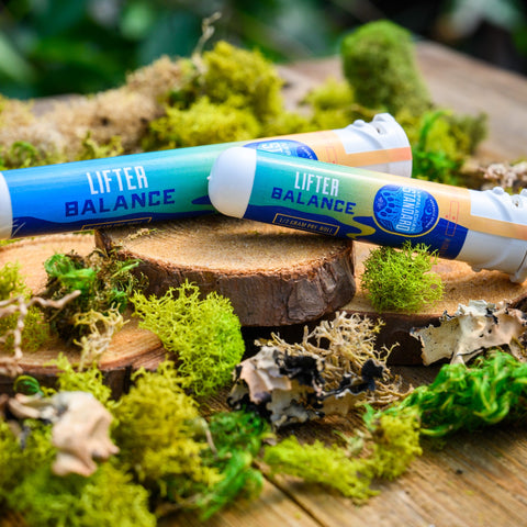 Lifter Pre-Rolls in sustainable sana tubes on wood and moss from Appalachian Standard
