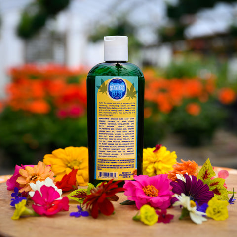 Main Squeeze Hemp Lotion 1,000mg per bottle