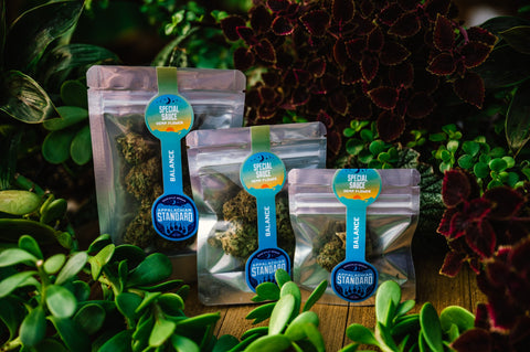 Special Sauce hemp flower in three sizes on a wooden platter with plants in the background grown and packaged by Appalachian Standard