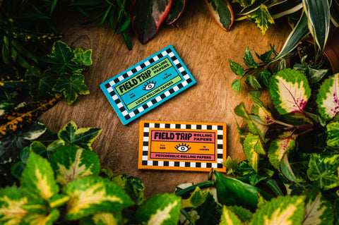 Field Trip Rolling Papers