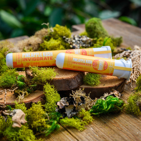 Pineapple Kush Pre-Rolls in sustainable recycled ocean plastic tubes on wood and moss from Appalachian Standard.