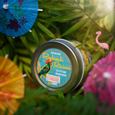 A jar of Appalachian Standard's Redneck Riviera CBD Body Cream surrounded by green plants and little drink umbrellas