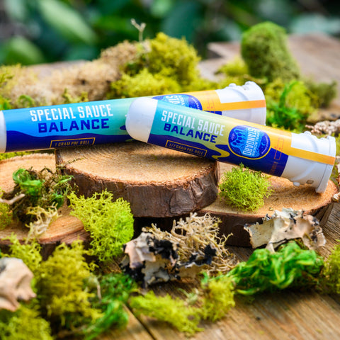 Special Sauce pre-rolls in sustainable recycled ocean plastic tubes on wood and moss from Appalachian Standard