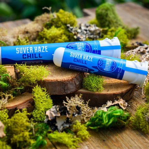 Suver Haze pre-rolls in sustainable recycled ocean plastic tubes on wood and moss from Appalachian Standard