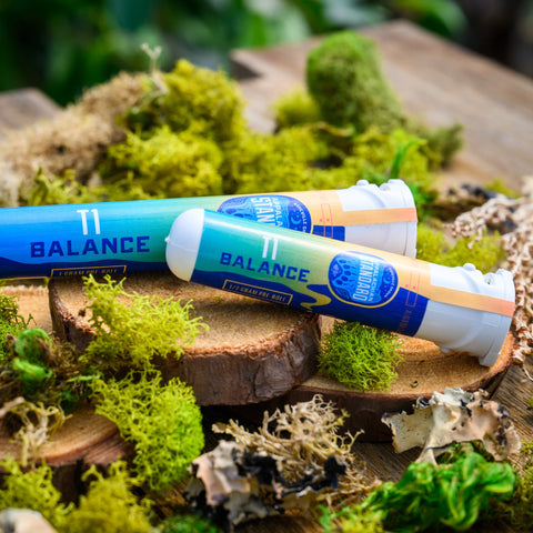 T1 pre-rolls in sustainable recycled ocean plastic tubes on wood and moss from Appalachian Standard