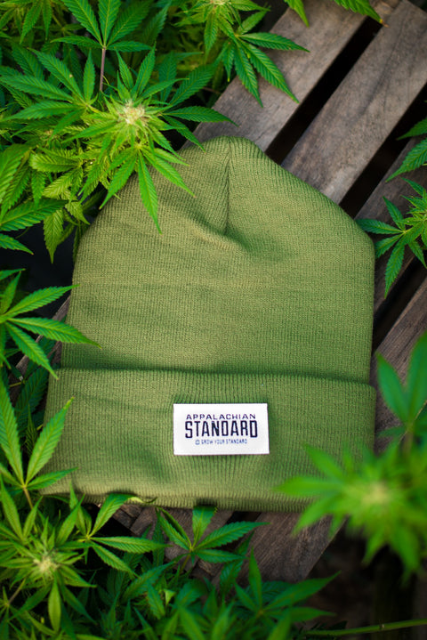 Green Beanie by Appalachian Standard