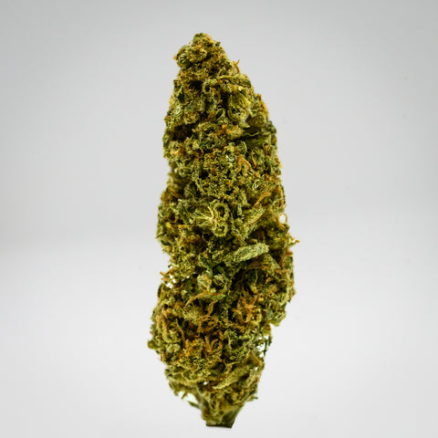 Harle Cat Hemp Flower close up in white box cultivated by Appalachian Standard.