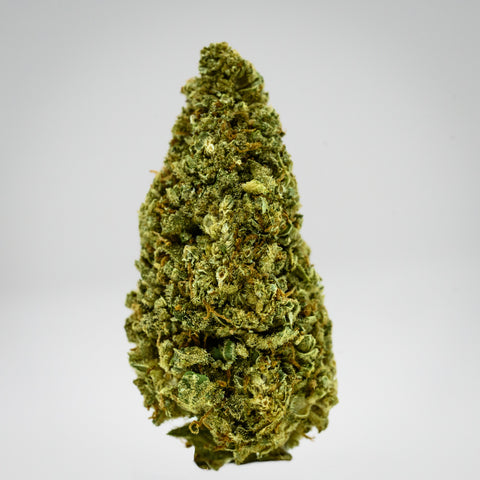 Pineapple Kush Hemp Flower close-up photograph in whitebox showcasing the bud structure, trichomes, and hairs grown by Appalachian Standard.
