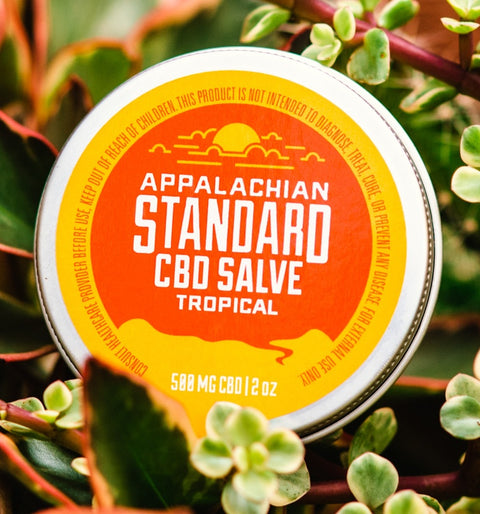 A 2 oz tin of Appalachian Standard's Tropical CBD Salve surrounded by green plants