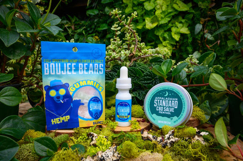 Beginner Bundle pack products surrounded by lush greenery