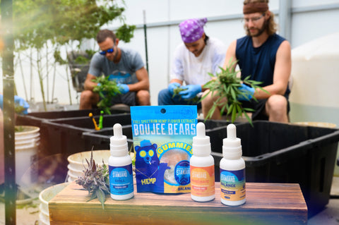 The boys work in the CBD greenhouse in the background. In the foreground are several Appalachian Standard CBD products.
