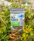 THCA Sour Diesel Hemp Flower package with hemp flower on a wooden stump surrounded by green plants in the greenhouse in Asheville, NC.
