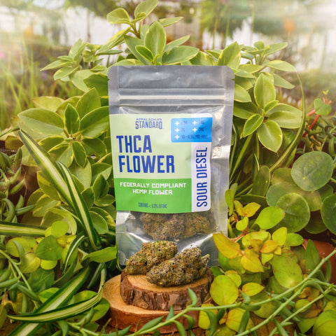 THCA Sour Diesel Hemp Flower package with hemp flower on a wooden stump surrounded by green plants in the greenhouse in Asheville, NC.