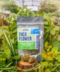 Appalachian Standard's Sugar Cane THCA flower packaging with hemp flower on a wooden block surrounded by green plants in Asheville, NC.