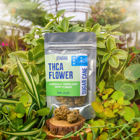 Appalachian Standard's Sugar Cane THCA flower packaging with hemp flower on a wooden block surrounded by green plants in Asheville, NC.