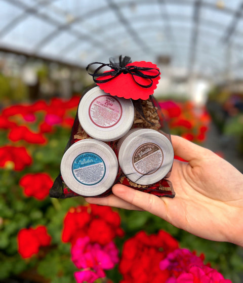 Appalachian Standard's CBD Body Cream bundle of Snow Kiss CBD Body Cream, Appalachian Winter Body Cream, Sandalwood Vanilla Body Cream in a cute mesh bag with a bright red heart being held in front of bright red plants in a greenhouse.