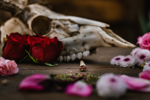 Appalachian Standard's Nugs n' Roses CBD Hemp pre-roll in front of a old deer kull with bright red roses and pink rose petals on a brown, wooden backdrop.