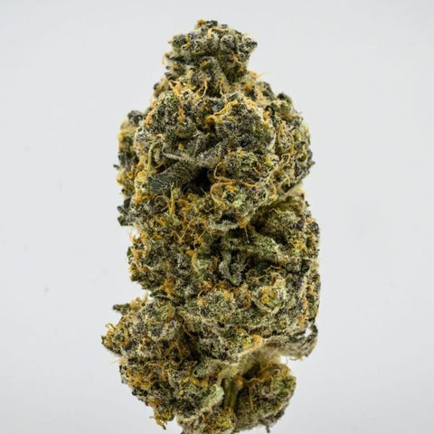 Appalachian Standard's Laser Fuel THCA flower with green and golden hues.