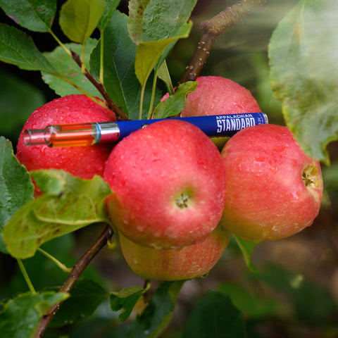 Apple-achian vape kit on a small bunch of red apples in a tree by Appalachian Standard