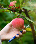 Apple-Achian apple-flavored vape in a hand while the hand is also picking an apple from a tree by Appalachian Standard. 