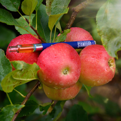 Appalachian Standard's Apple-achian CBD Vape placed on a dewy bushel of apples, surrounded by leaves, on an apple tree.