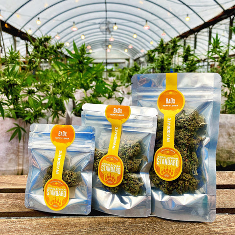 Three size options of Baox Hemp Flower with the Appalachian Standard greenhouse in the background.