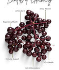 "Benefits of Elderberry" with purple elderberries on the stem and information.
