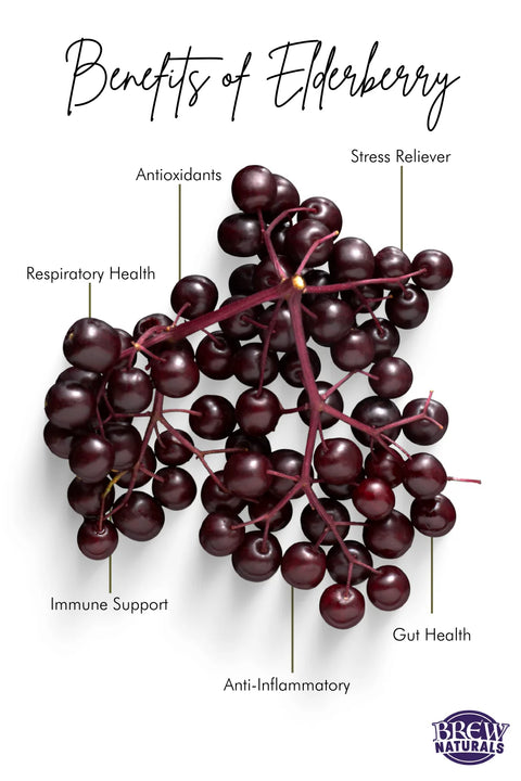 "Benefits of Elderberry" with purple elderberries on the stem and information.