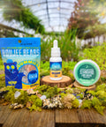 The three products from Appalachian Standard's CBD Starter Kit Bundle: a 1 oz bottle of the Balance Tincture, a bag of Boujee Bears, and a tin of CBD Salve on wood slices surrounded by moss with plants in the background