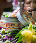 Open tin of Appalachian Standard High Country Hunny CBD Gummies, 30 count, 25mg CBD per full-spectrum gummy, showing an assortment of gourmet-flavored gummies, surrounded by white and pink daisies and a woven basket.