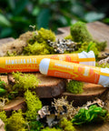Hawaiian Haze Pre-Rolls in sustainable recycled ocean plastic tubes on wood and moss from Appalachian Standard