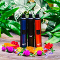 YoCan HIT Dry Herb Vaporizer Blue, black and red