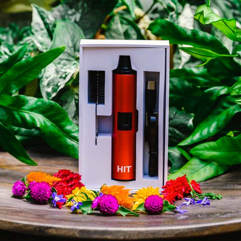 YoCan HIT Dry Herb Vaporizer red with accessories