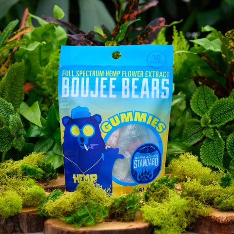 Boujee Bear CBD Gummies CBD Candy in packaging in front of leaves and surrounded by green moss by Appalachian Standard.