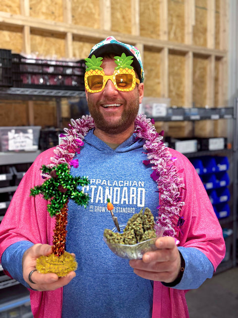 Person holding a small palm tree decoration and a bowl of cannabis buds in a warehouse setting