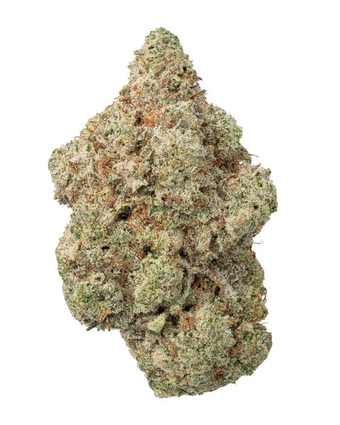 Karma 20/20 flower with green on a white background